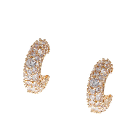 Ear 588