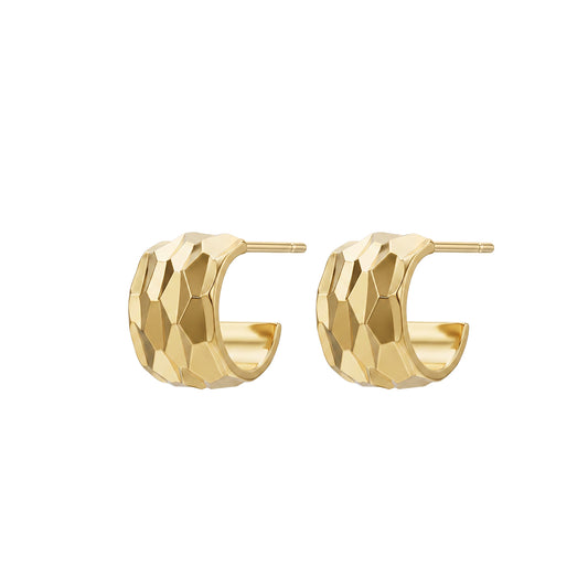Ear 924