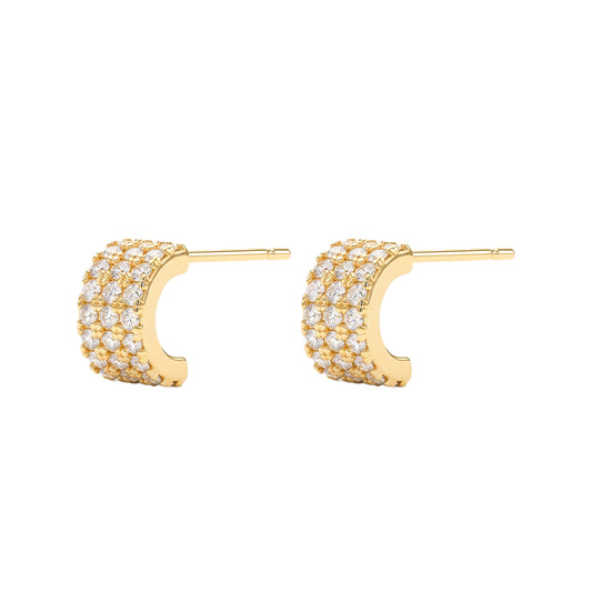 Ear 927