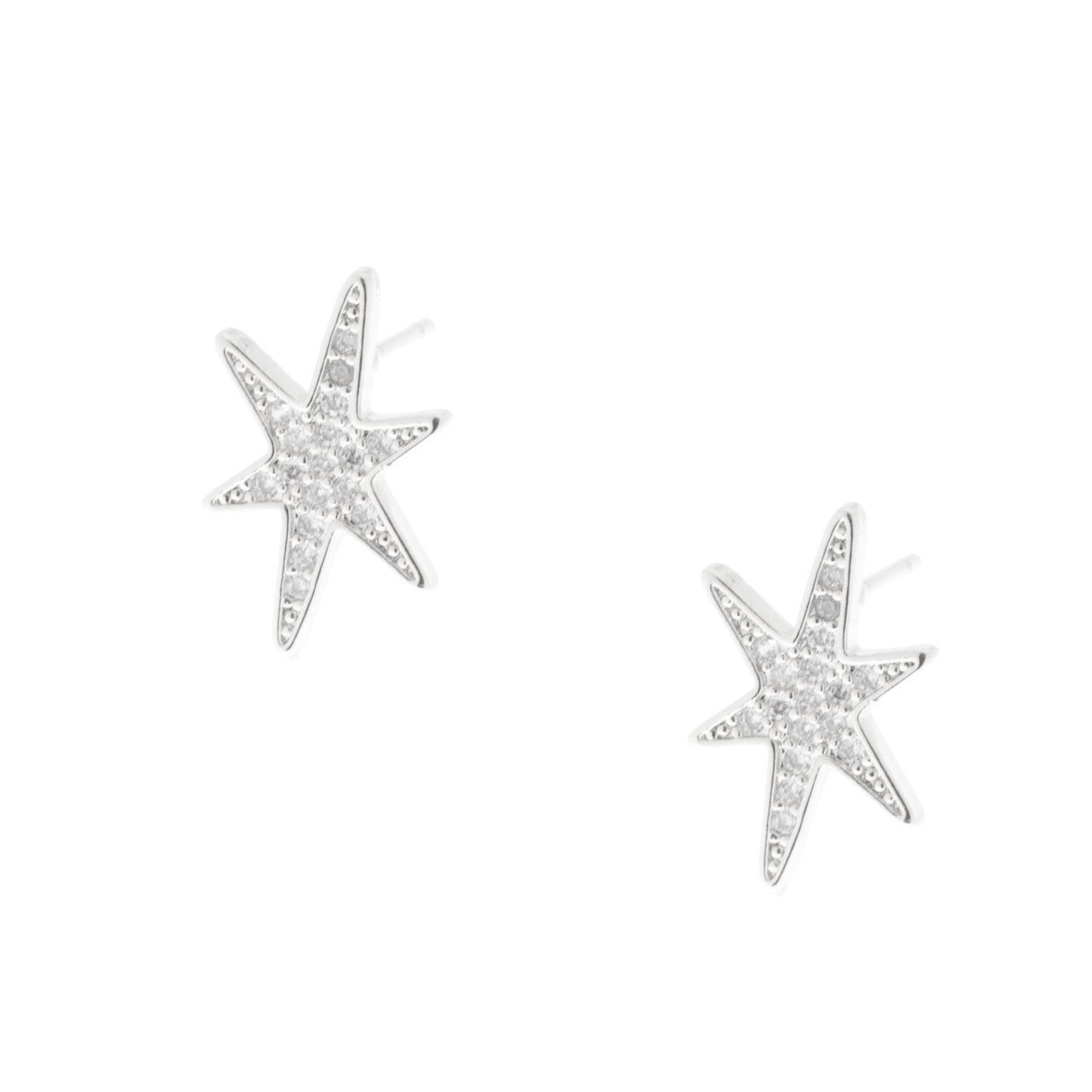 Ear 537