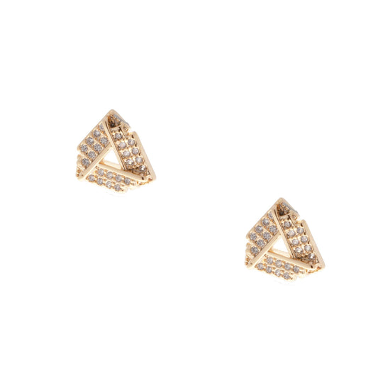 Ear 538