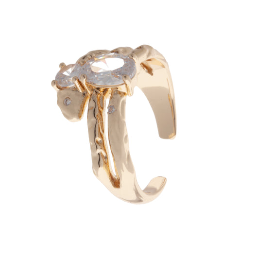 Ring 13