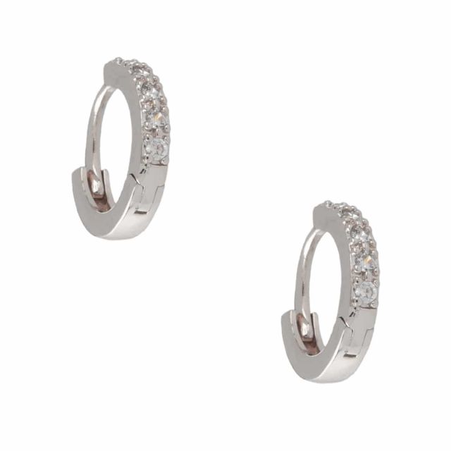 Whistler ear silver Clear
