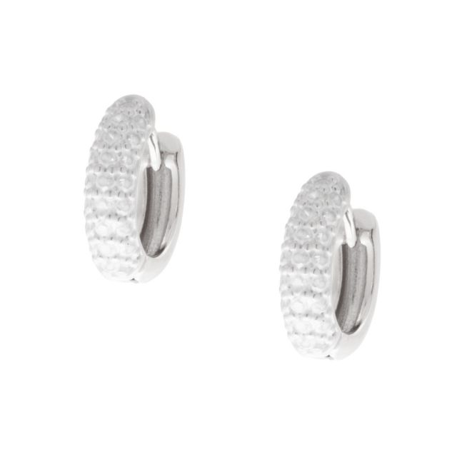 Ear 502 silver Clear