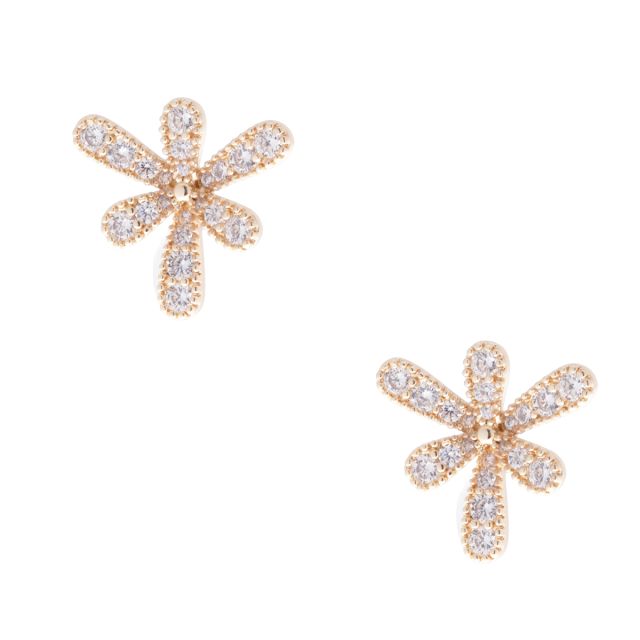 Ear 571 gold Clear