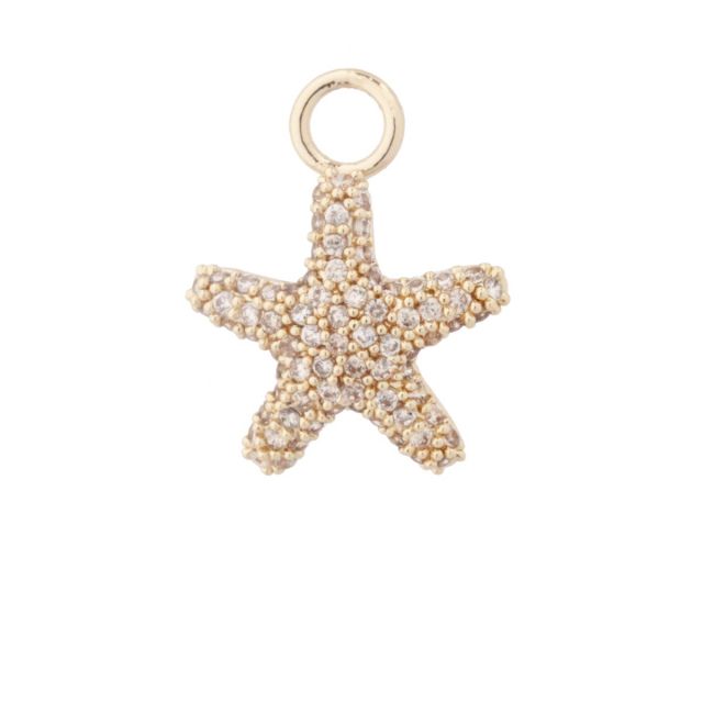 Pendant ear Starfish gold Champagne