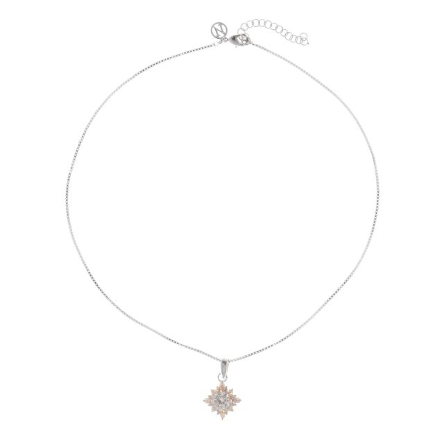 Tori neck 42 silver Clear