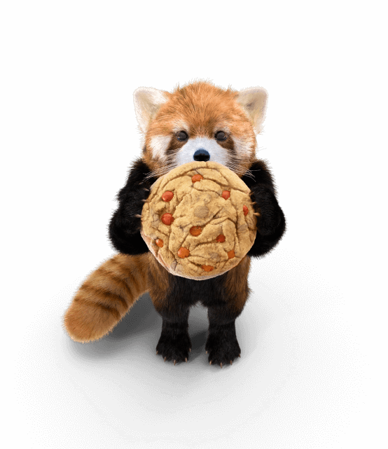 Red Panda With Cookie